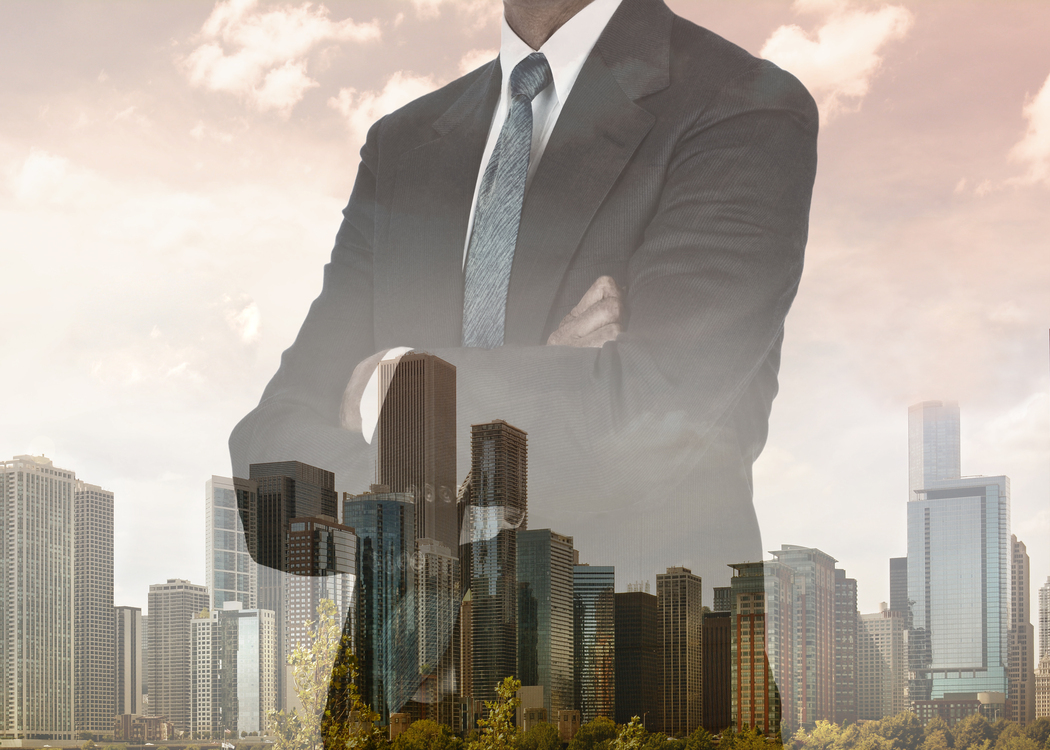 Mr. Surender D Agarwal